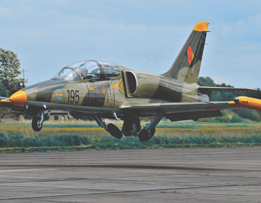 L-39 Albatros fliegen בפלורידה (ארה"ב)