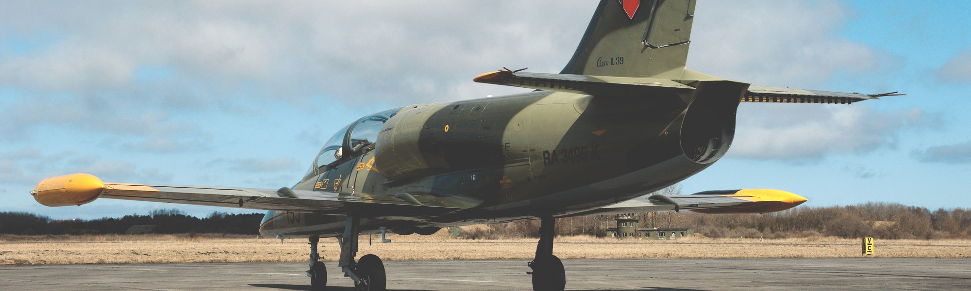 L-39 Albatros fliegen in Florida (USA)