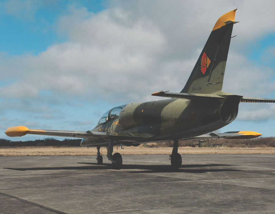 L-39 Albatros fliegen in Florida (USA)