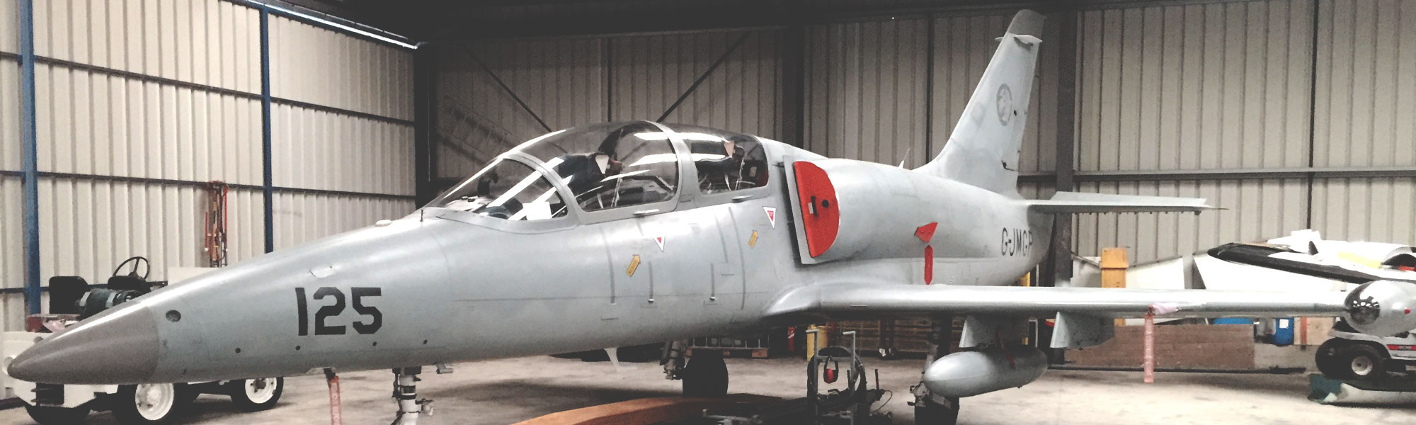L-39 Albators Jetflug über Paris